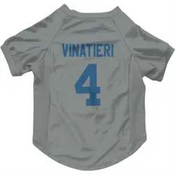 Indianapolis Colts Adam Vinatieri Gray Pet Jersey for Dog & Cat