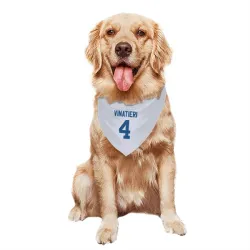 Indianapolis Colts Adam Vinatieri White Pet Bandana for Dog & Cat