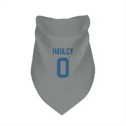 Indianapolis Colts A.J. Haulcy Gray Pet Bandana for Dog & Cat