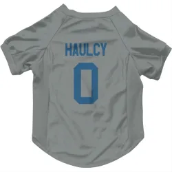Indianapolis Colts A.J. Haulcy Gray Pet Jersey for Dog & Cat
