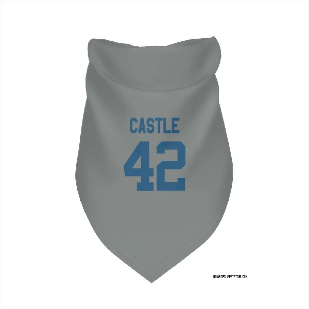 Indianapolis Colts Anderson Castle Gray Pet Bandana for Dog & Cat