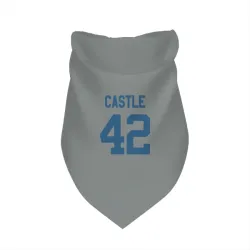 Indianapolis Colts Anderson Castle Gray Pet Bandana for Dog & Cat