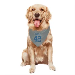 Indianapolis Colts Anderson Castle Gray Pet Bandana for Dog & Cat