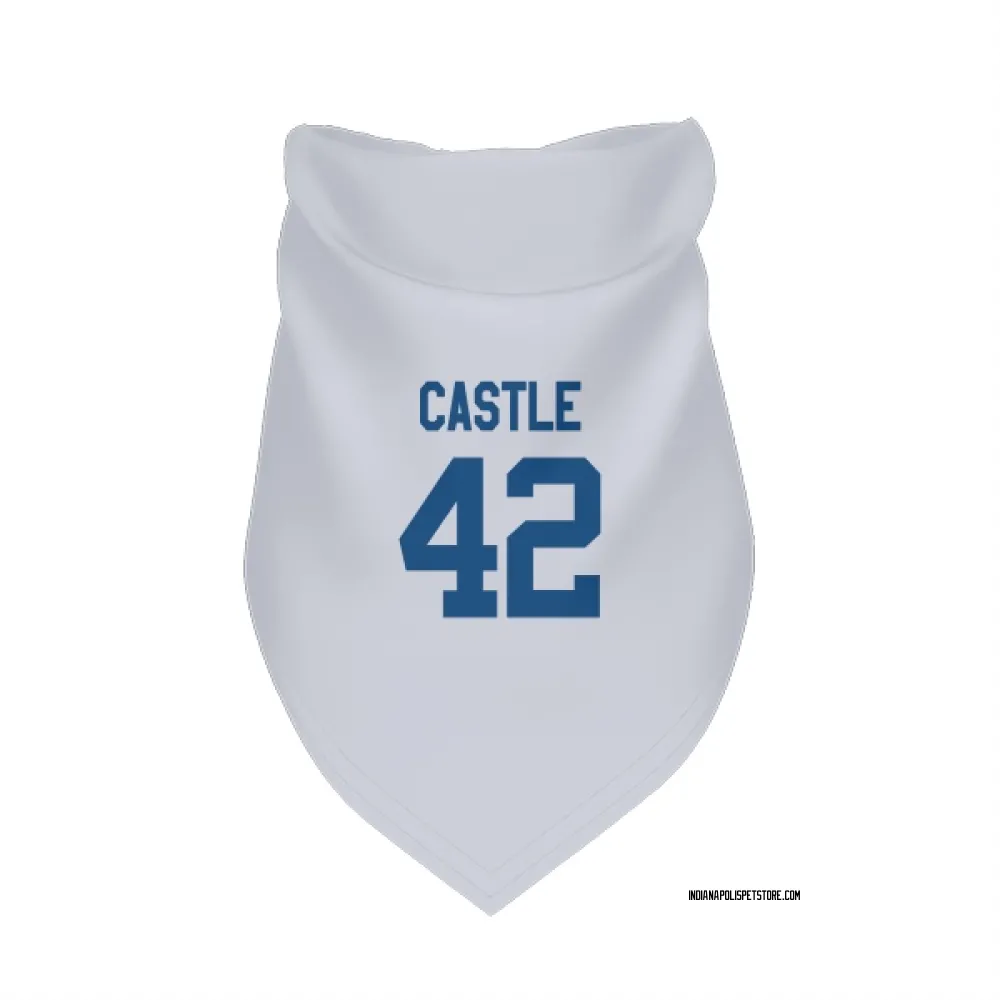 Indianapolis Colts Anderson Castle White Pet Bandana for Dog & Cat