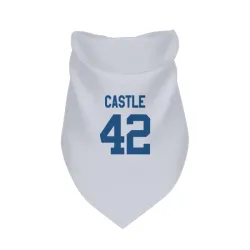 Indianapolis Colts Anderson Castle White Pet Bandana for Dog & Cat