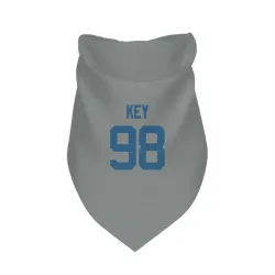 Indianapolis Colts Arden Key Gray Pet Bandana for Dog & Cat