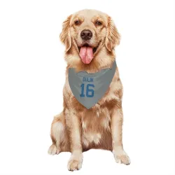 Indianapolis Colts Ashton Dulin Gray Pet Bandana for Dog & Cat