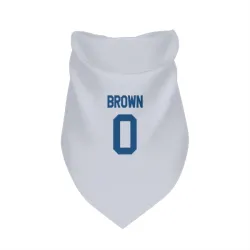 Indianapolis Colts Austin Brown White Pet Bandana for Dog & Cat