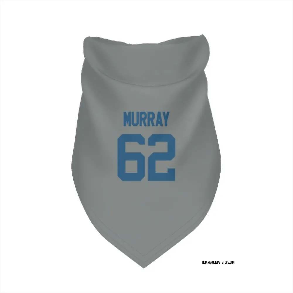 Indianapolis Colts Bill Murray Gray Pet Bandana for Dog & Cat