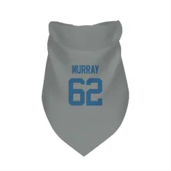 Indianapolis Colts Bill Murray Gray Pet Bandana for Dog & Cat