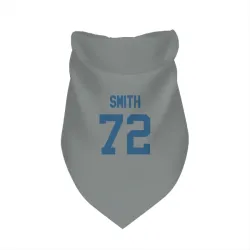 Indianapolis Colts Braden Smith Gray Pet Bandana for Dog & Cat
