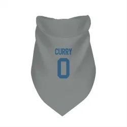 Indianapolis Colts Caden Curry Gray Pet Bandana for Dog & Cat