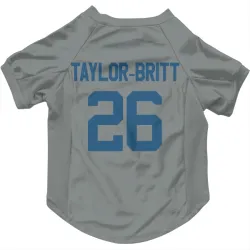 Indianapolis Colts Cam Taylor-Britt Gray Pet Jersey for Dog & Cat