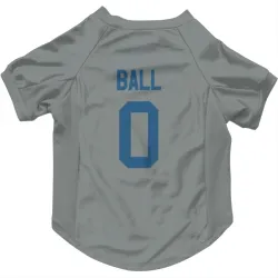 Indianapolis Colts Cameron Ball Gray Pet Jersey for Dog & Cat