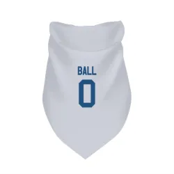 Indianapolis Colts Cameron Ball White Pet Bandana for Dog & Cat