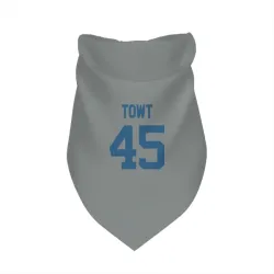 Indianapolis Colts Carson Towt Gray Pet Bandana for Dog & Cat
