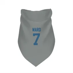 Indianapolis Colts Charvarius Ward Gray Pet Bandana for Dog & Cat