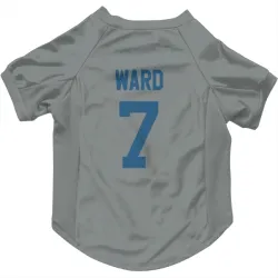 Indianapolis Colts Charvarius Ward Gray Pet Jersey for Dog & Cat