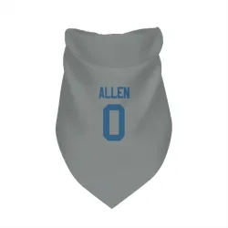 Indianapolis Colts CJ Allen Gray Pet Bandana for Dog & Cat