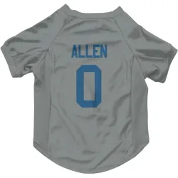 Indianapolis Colts CJ Allen Gray Pet Jersey for Dog & Cat