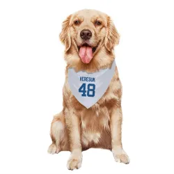 Indianapolis Colts Devin Veresuk White Pet Bandana for Dog & Cat