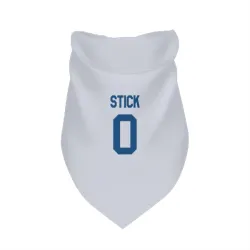 Indianapolis Colts Easton Stick White Pet Bandana for Dog & Cat
