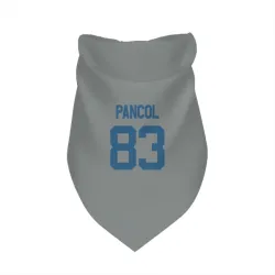 Indianapolis Colts Eli Pancol Gray Pet Bandana for Dog & Cat