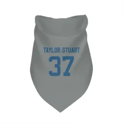 Indianapolis Colts Isaac Taylor-Stuart Gray Pet Bandana for Dog & Cat