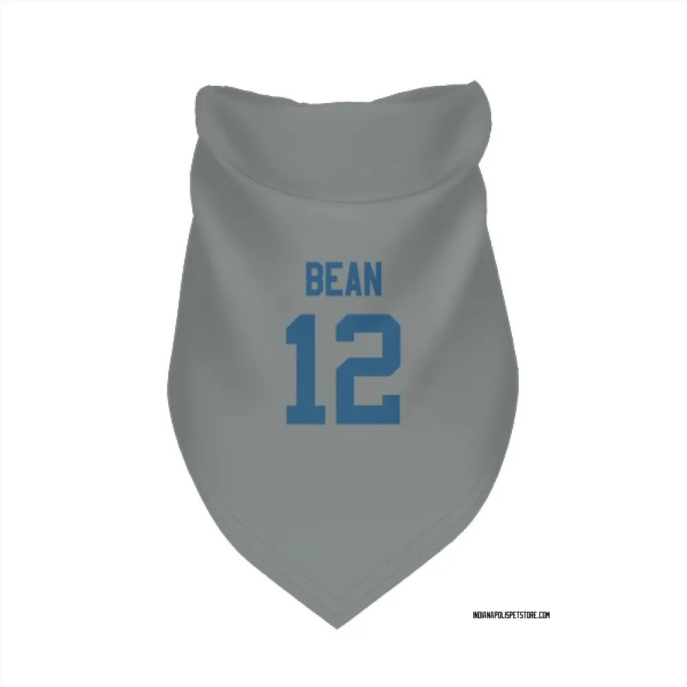 Indianapolis Colts Jason Bean Gray Pet Bandana for Dog & Cat
