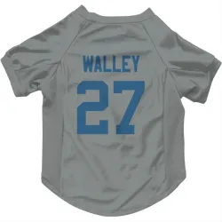 Indianapolis Colts Justin Walley Gray Pet Jersey for Dog & Cat