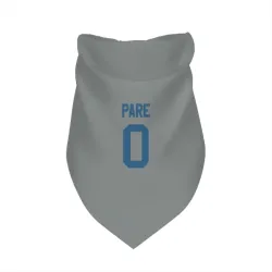 Indianapolis Colts Lincoln Pare Gray Pet Bandana for Dog & Cat