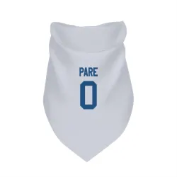 Indianapolis Colts Lincoln Pare White Pet Bandana for Dog & Cat