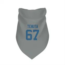 Indianapolis Colts Luke Tenuta Gray Pet Bandana for Dog & Cat