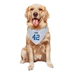 Indianapolis Colts Marcel Dabo White Pet Bandana for Dog & Cat