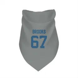 Indianapolis Colts Mason Brooks Gray Pet Bandana for Dog & Cat