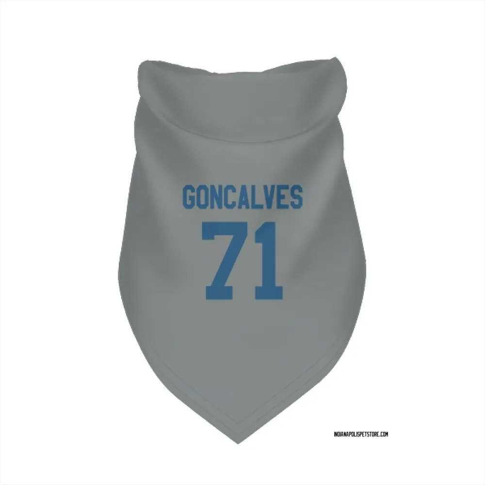 Indianapolis Colts Matt Goncalves Gray Pet Bandana for Dog & Cat