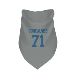Indianapolis Colts Matt Goncalves Gray Pet Bandana for Dog & Cat