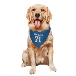 Indianapolis Colts Matt Goncalves Royal Pet Bandana for Dog & Cat