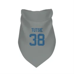 Indianapolis Colts Michael Tutsie Gray Pet Bandana for Dog & Cat