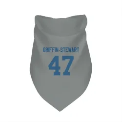 Indianapolis Colts Nakia Griffin-Stewart Gray Pet Bandana for Dog & Cat