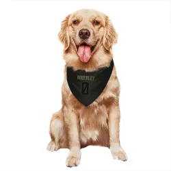 Indianapolis Colts Nasir Adderley Black Service Pet Bandana for Dog & Cat