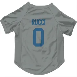 Indianapolis Colts Nolan Rucci Gray Pet Jersey for Dog & Cat