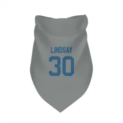 Indianapolis Colts Phillip Lindsay Gray Pet Bandana for Dog & Cat