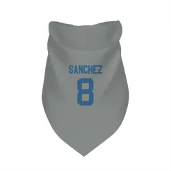 Indianapolis Colts Rigoberto Sanchez Gray Pet Bandana for Dog & Cat