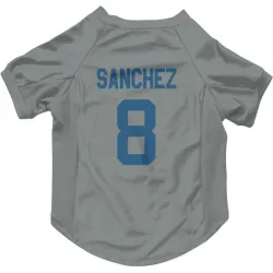 Indianapolis Colts Rigoberto Sanchez Gray Pet Jersey for Dog & Cat