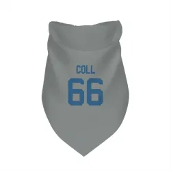 Indianapolis Colts Ryan Coll Gray Pet Bandana for Dog & Cat