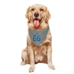 Indianapolis Colts Ryan Coll Gray Pet Bandana for Dog & Cat