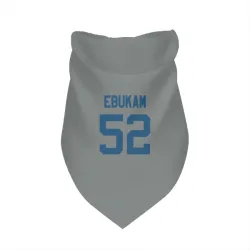 Indianapolis Colts Samson Ebukam Gray Pet Bandana for Dog & Cat