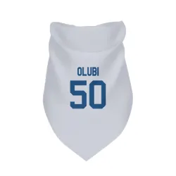 Indianapolis Colts Segun Olubi White Pet Bandana for Dog & Cat