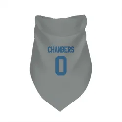 Indianapolis Colts Tahj Chambers Gray Pet Bandana for Dog & Cat